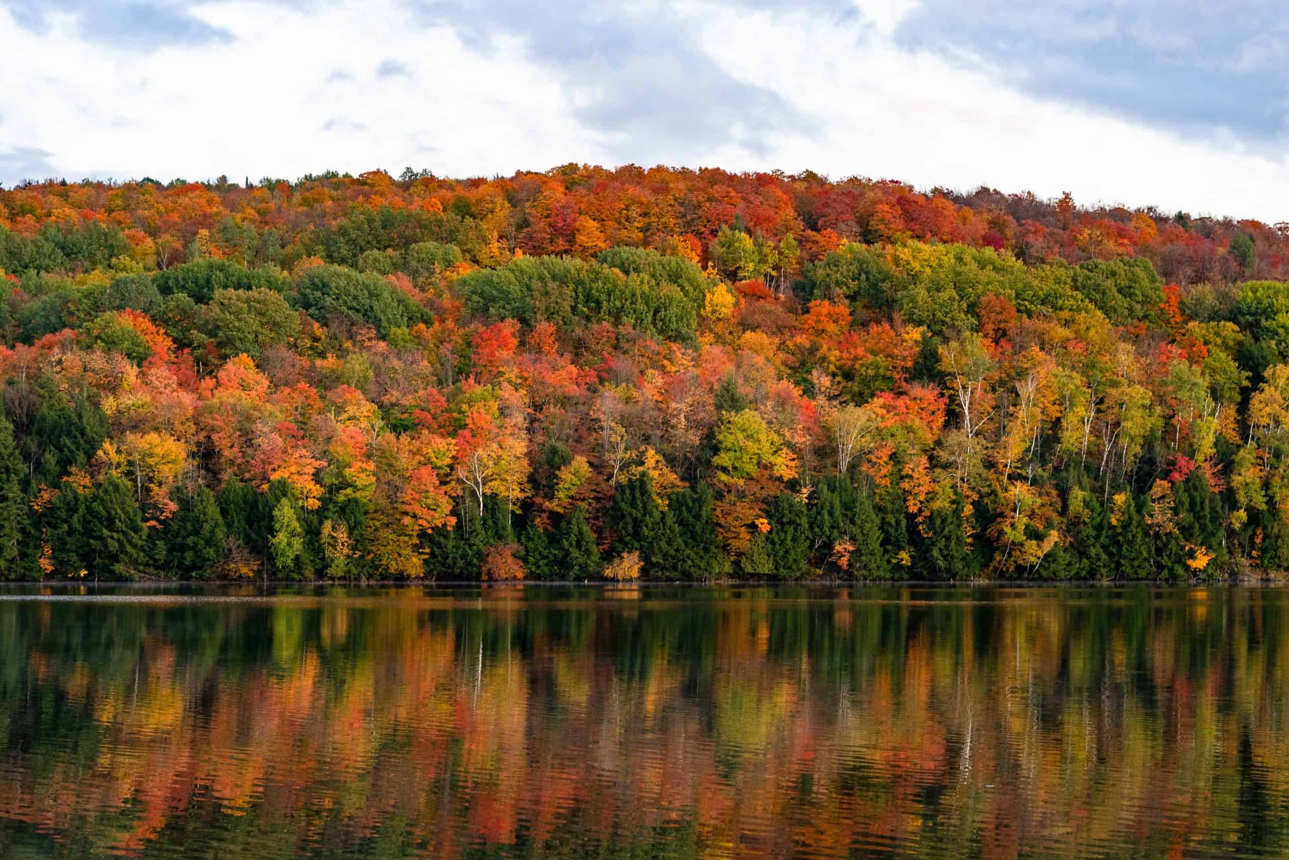Vermont trees and lake