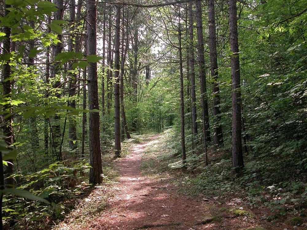 Outdoors at Vermont Alcohol + Drug Rehab Facility